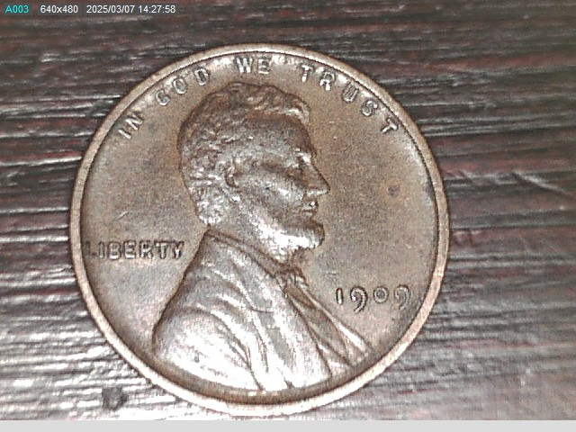 A-Gap-In-My-Wheat-Penny-Collection-Filled!